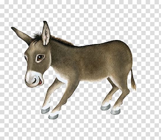 cartoon little donkey transparent background PNG clipart