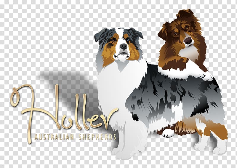 Australian Shepherd German Shepherd Rough Collie Shetland Sheepdog Puppy, shepherd transparent background PNG clipart