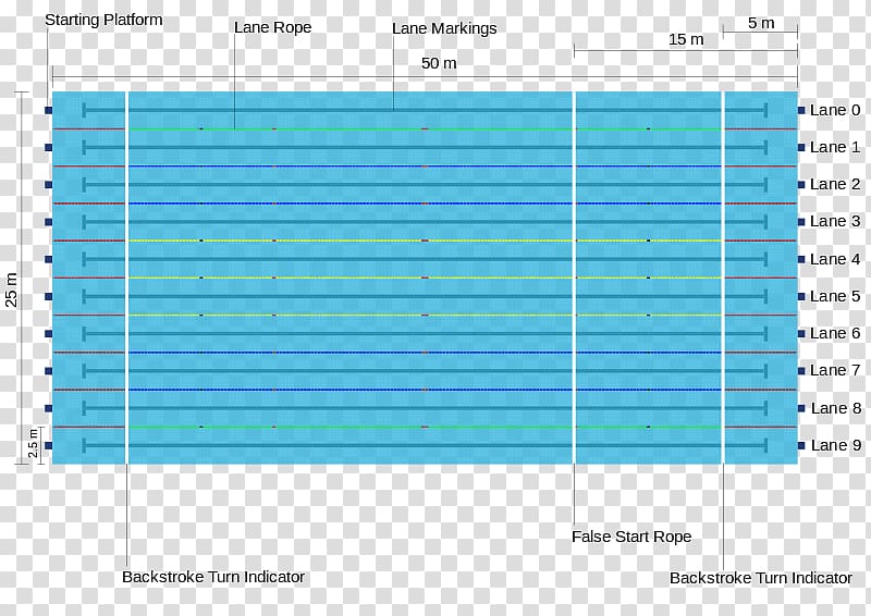Olympic Games Olympic-size swimming pool Swimming at the Summer Olympics, Bucks transparent background PNG clipart