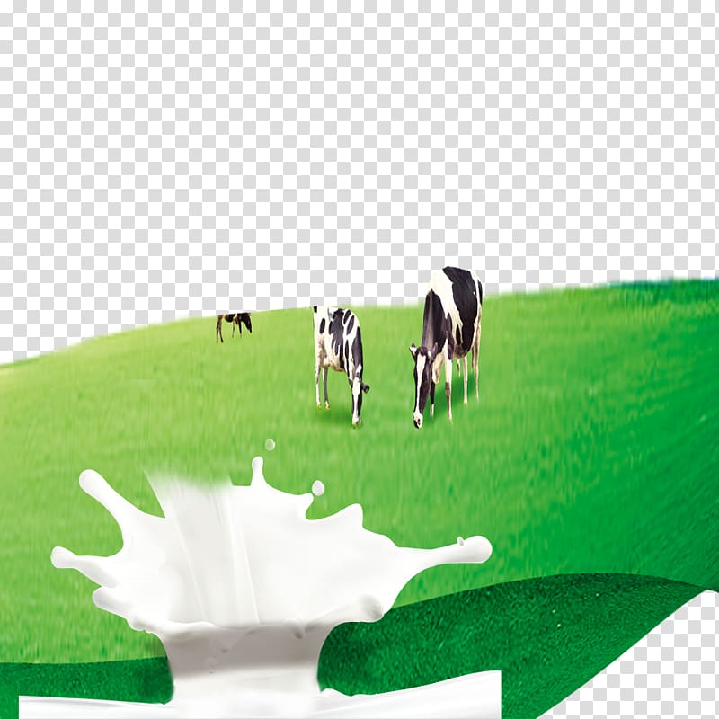 Dairy cattle Milk cow, Prairie Cows transparent background PNG clipart