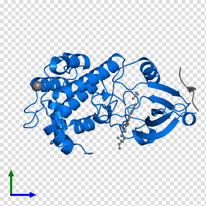 Protein Data Bank Structural Classification of Proteins database Pfam Ligand-gated ion channel, others transparent background PNG clipart