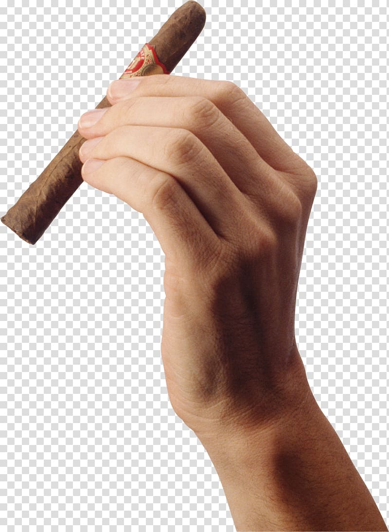 person left hand holding tobacco, Cigarette Blunt Tobacco pipe, Cigarette in hand transparent background PNG clipart