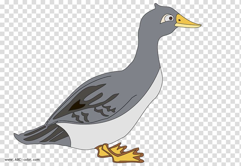 Duck Goose Anser Drawing , duck transparent background PNG clipart