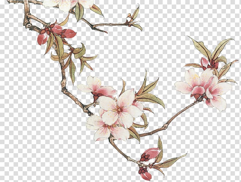pink flowers illustration, China Chinese painting Manual of the Mustard Seed Garden Gongbi, Branches on the peach transparent background PNG clipart