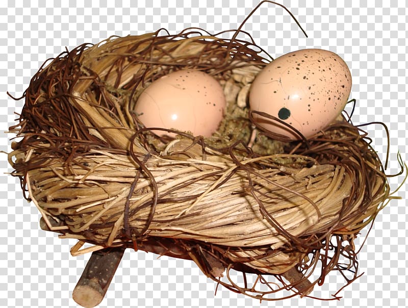 Bird nest Egg, Nest transparent background PNG clipart