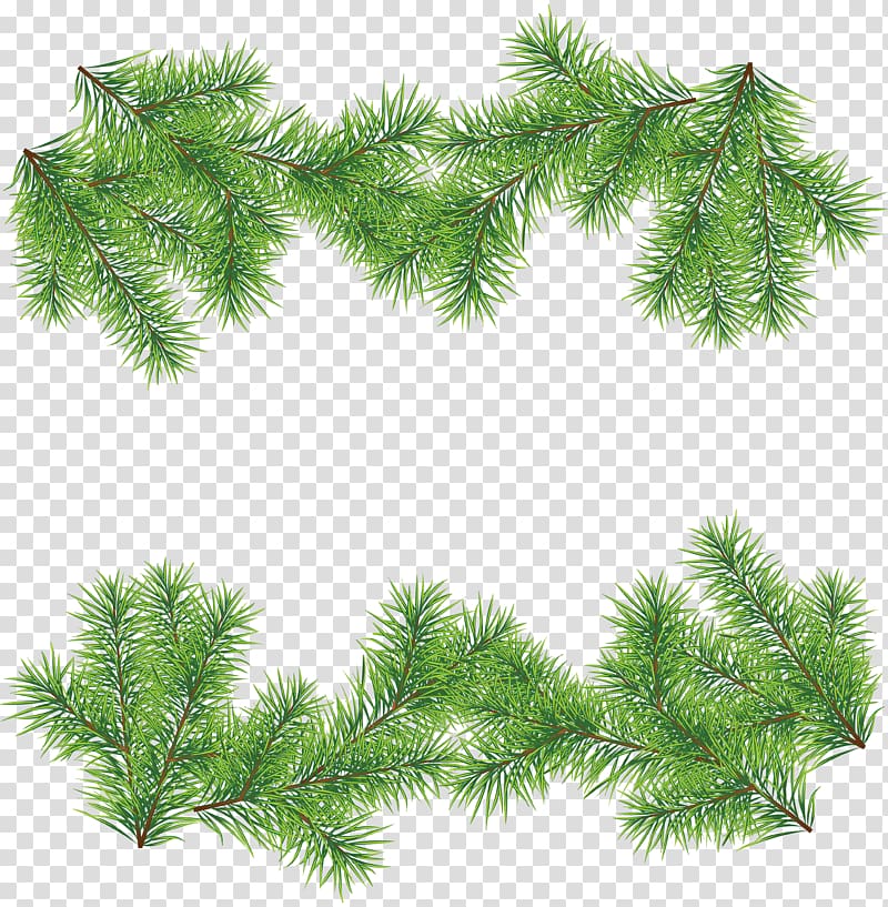 Christmas tree , fir-tree transparent background PNG clipart