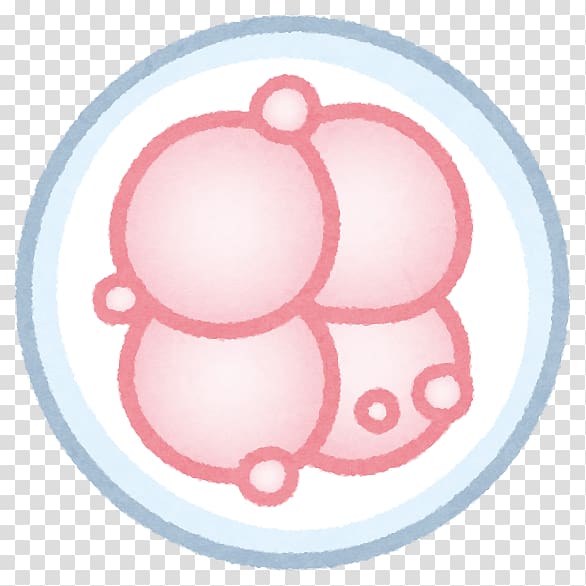 Polycystic ovary syndrome Embryo Infertility Transvaginal oocyte retrieval Fertilisation, pregnancy transparent background PNG clipart