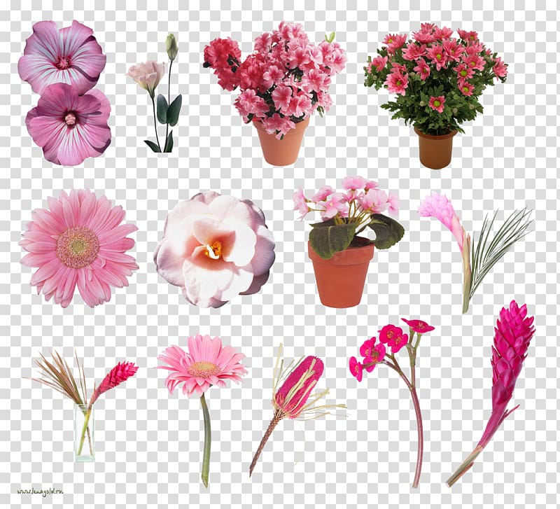 Cut flowers Floral design Artificial flower, lavander transparent background PNG clipart