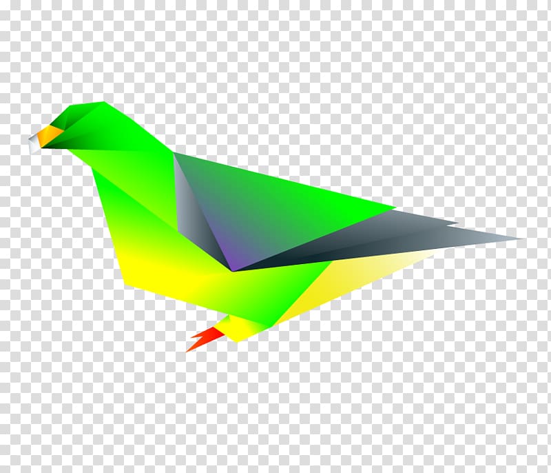 Bird Beak African pygmy kingfisher Bruce's green pigeon, Bird transparent background PNG clipart