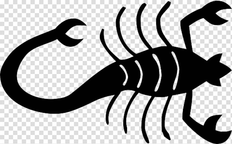 Scorpion Computer Icons , Scorpion transparent background PNG clipart