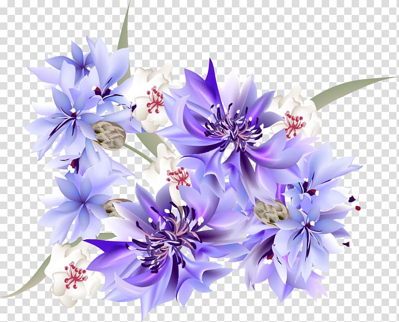 purple petaled flower, Flower Illustration, Romantic fantasy floral background transparent background PNG clipart