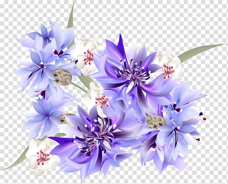 Beautiful Purple Floral Decor PNG Clipart​