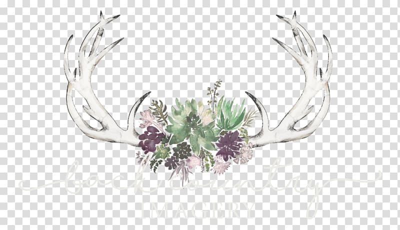 Back Country ry Seattle Vendor Flower, Salishan Tacoma Washington transparent background PNG clipart