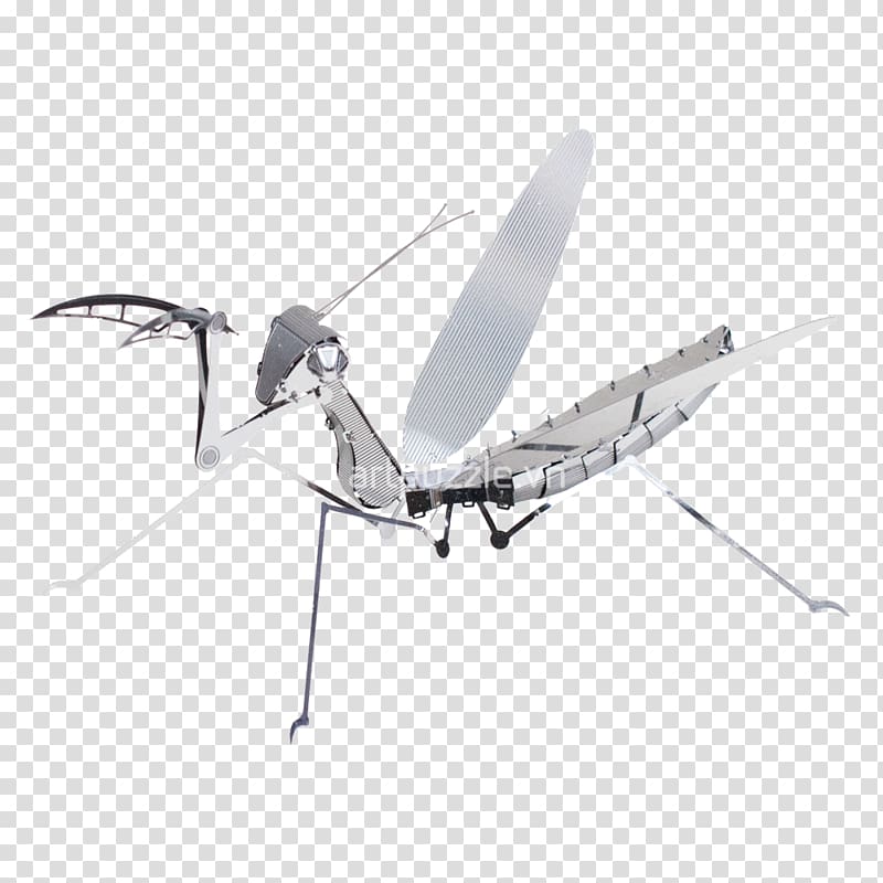 Scorpion Metal Arachnid Beetle Steel, Scorpion transparent background PNG clipart