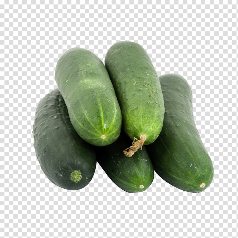 Cucumber Vegetable Seed Fruit Food, cucumber transparent background PNG clipart
