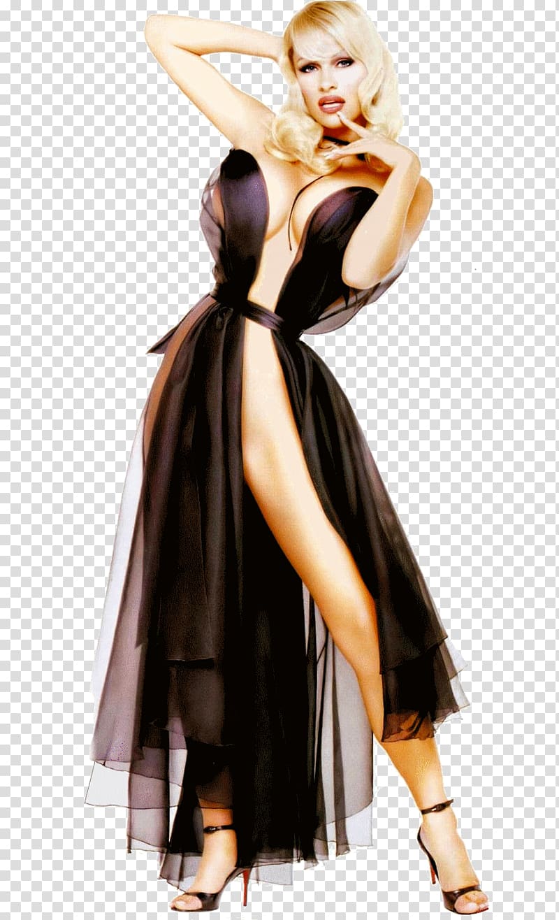 Pamela Anderson Model Desktop Pin-up girl, model transparent background PNG clipart
