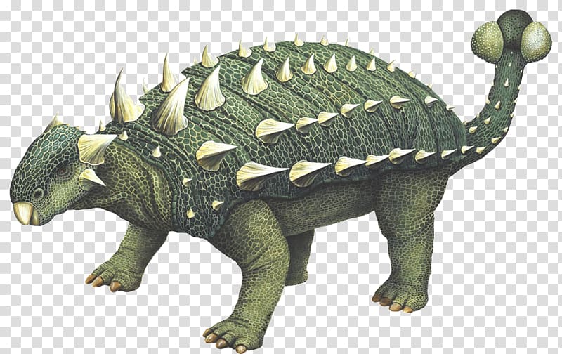 Euoplocephalus Stegosaurus Kentrosaurus Triceratops Ankylosaurus, dinosaur transparent background PNG clipart