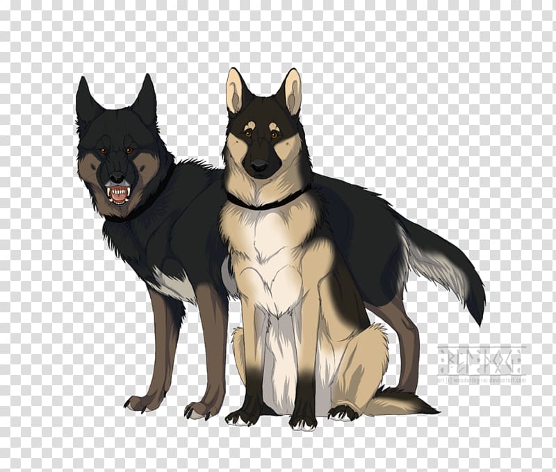Dog breed Lapponian herder, wandering transparent background PNG clipart