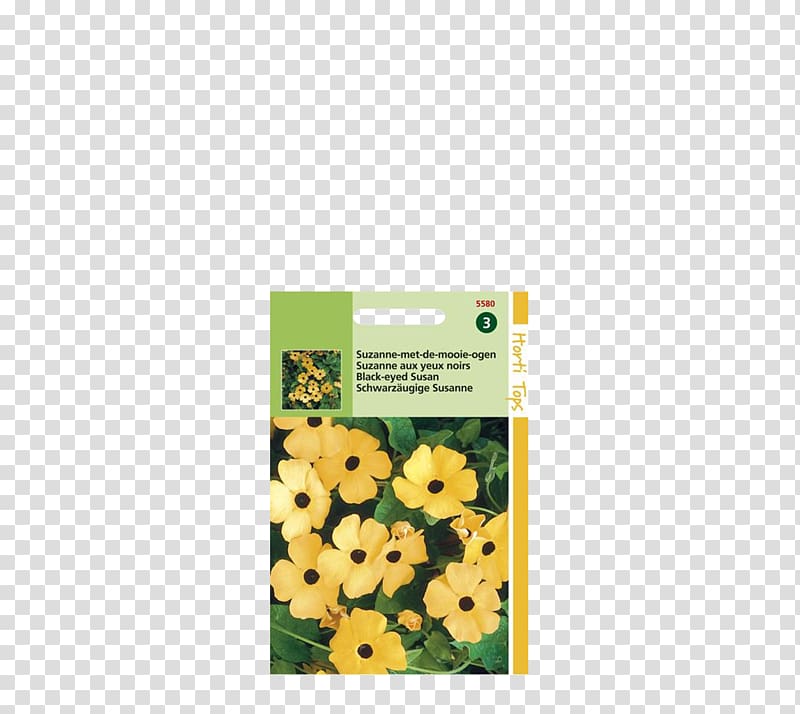 Black-eyed Susan vine Clockvines, garden Lawn transparent background PNG clipart