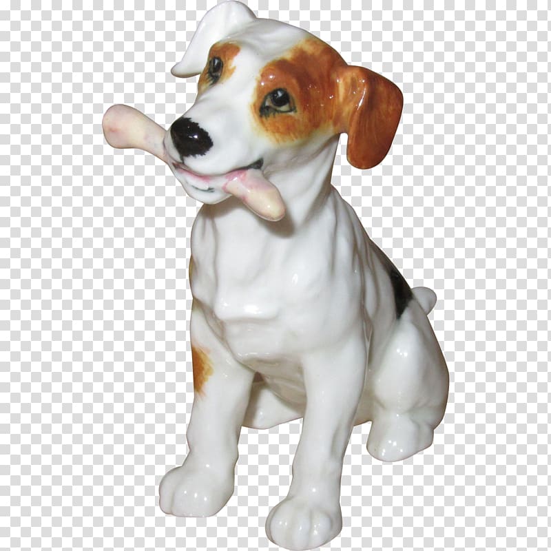 Jack Russell Terrier English Foxhound Parson Russell Terrier Harrier Beagle, bone dog transparent background PNG clipart