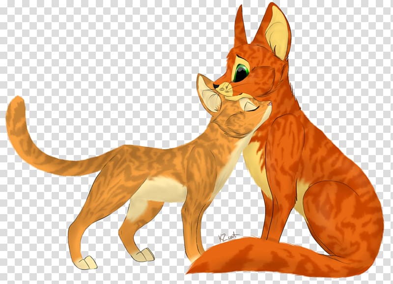 Firestar Warriors Sandstorm Cat Leafpool, Cat transparent background PNG clipart