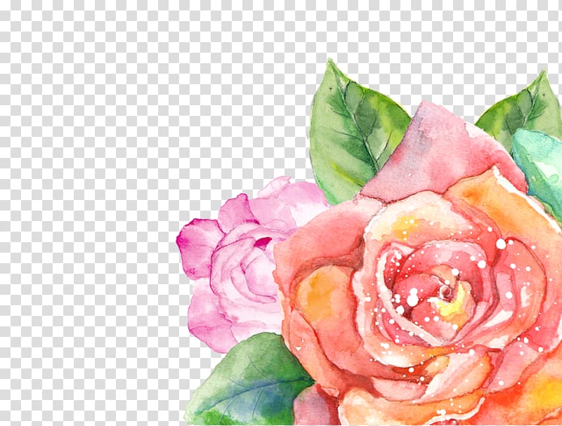 Flower Watercolor painting Garden roses Floral design Watercolor, watercolour transparent background PNG clipart