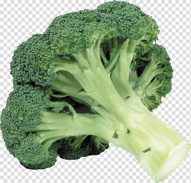 green broccoli vegetable, Broccoli transparent background PNG clipart