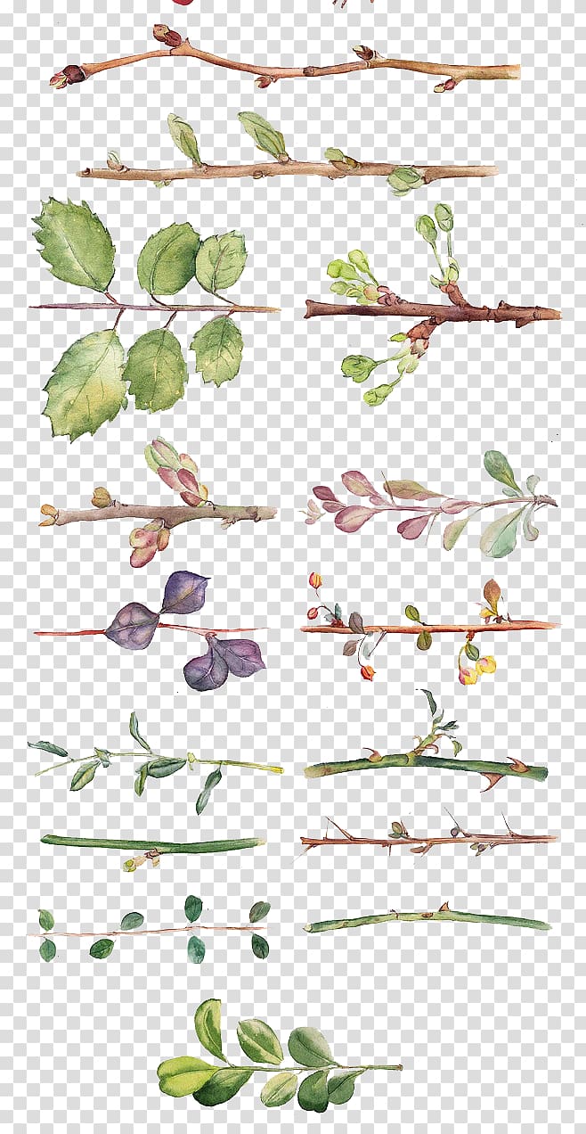 Flower Watercolor painting Drawing Floral design, All kinds of hand-painted watercolor leaves and branches, twig illustration collection transparent background PNG clipart