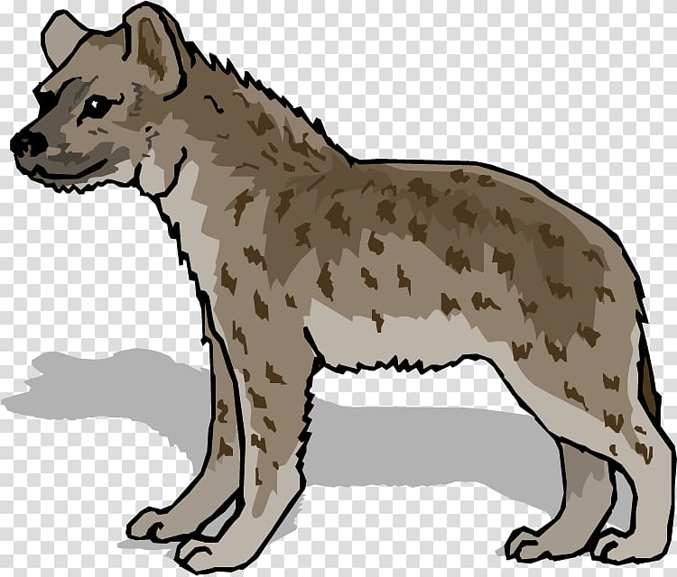 Hyena transparent background PNG clipart