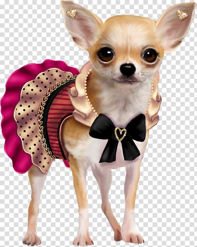 Puppy Chihuahua French Bulldog , puppy transparent background PNG clipart