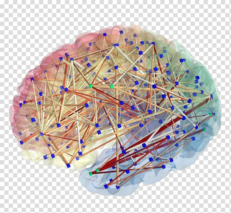 Human Connectome Project Brain mapping Neuron, Brain transparent background PNG clipart