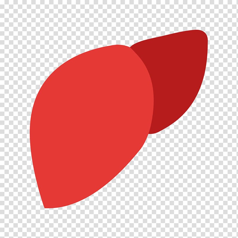 Fatty liver Computer Icons Large intestine, RED SHAPES transparent background PNG clipart