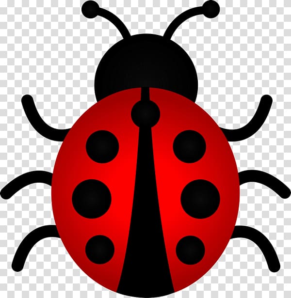 Ladybird beetle The Ladybug , beetle transparent background PNG clipart