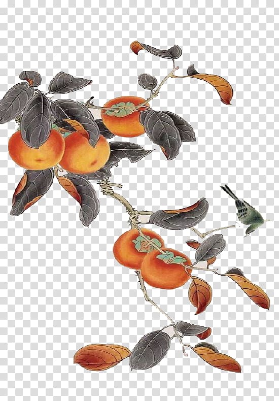 Persimmon Work of art, Orange-red persimmon transparent background PNG clipart