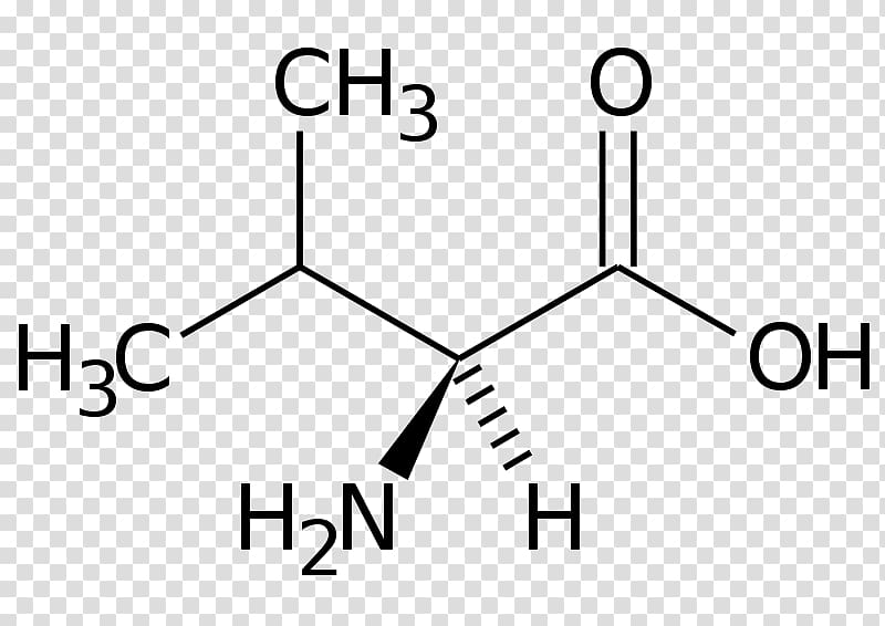 Valine Structural formula Amino acid Chemical formula Alanine, formula transparent background PNG clipart