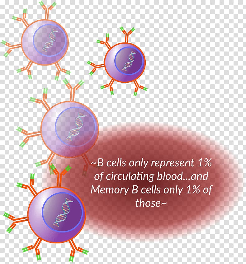 Trellis Bioscience Interior Design Services, design transparent background PNG clipart