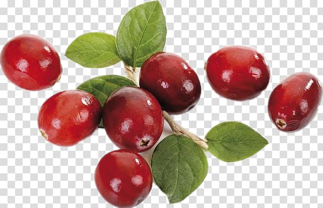 Lingonberry Dietary supplement Cranberry Superfood, extract transparent background PNG clipart