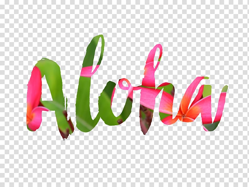 aloha word clipart