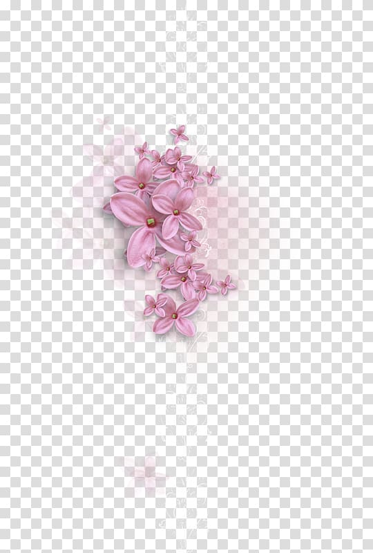 pink lilac flowers art, Flower Polyvore Petal Яндекс.Фотки Fotki, flower transparent background PNG clipart