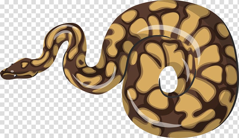 Boa constrictor Reptile Vipers Snake, snake transparent background PNG clipart