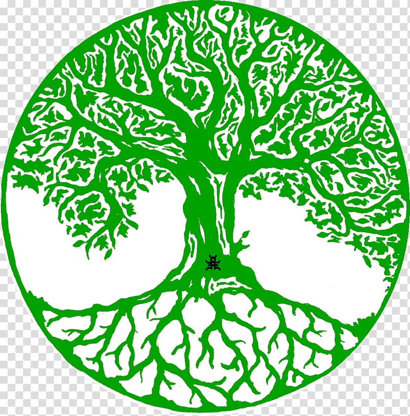 Tree of life Drawing Decal, tree transparent background PNG clipart
