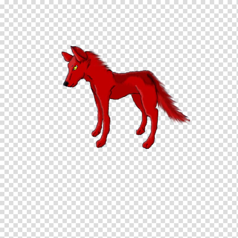 Mustang Canidae Dog Snout Freikörperkultur, mustang transparent background PNG clipart