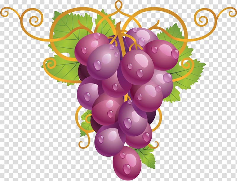 Common Grape Vine Wine Grape leaves , wine transparent background PNG clipart