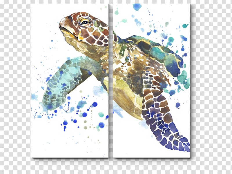 Sea Turtles (Under the Sea Watercolor painting, turtle transparent background PNG clipart