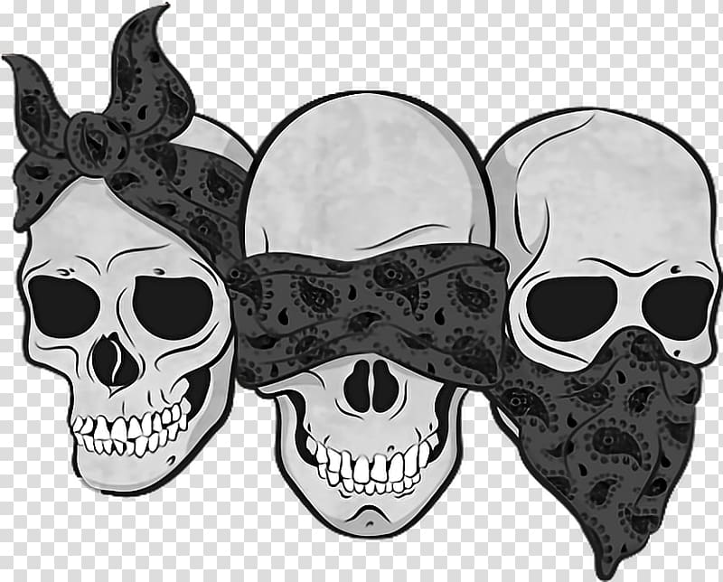 Three wise monkeys Drawing Calavera Skull, skull transparent background PNG clipart