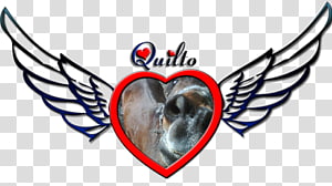 Drawing Line art Design, design transparent background PNG clipart thumbnail