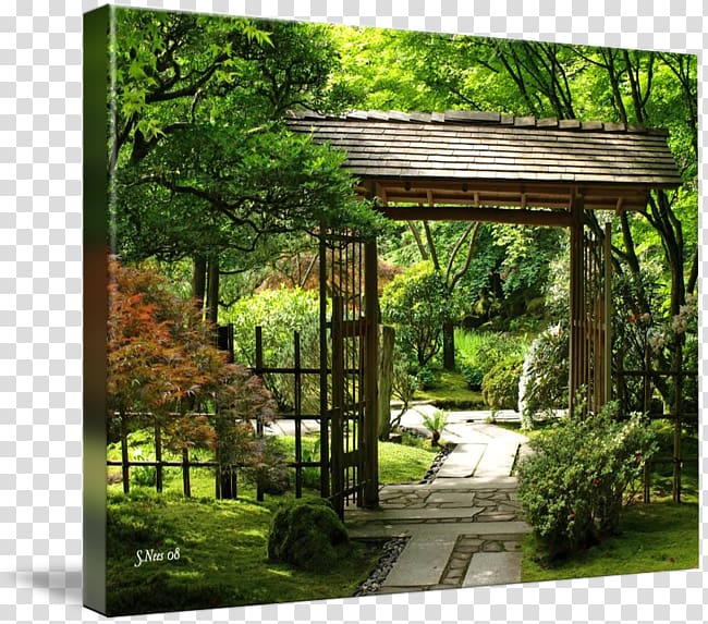 Pergola Landscape Backyard Gazebo Japanese garden, tree transparent background PNG clipart