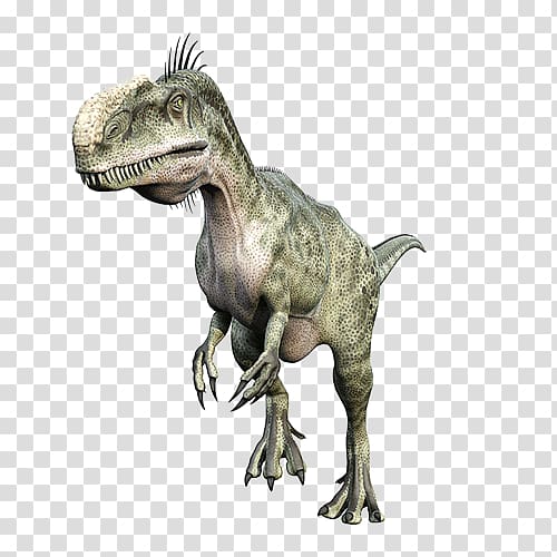 Tyrannosaurus Ceratosaurus Monolophosaurus Velociraptor Abelisaurus, dinosaur transparent background PNG clipart