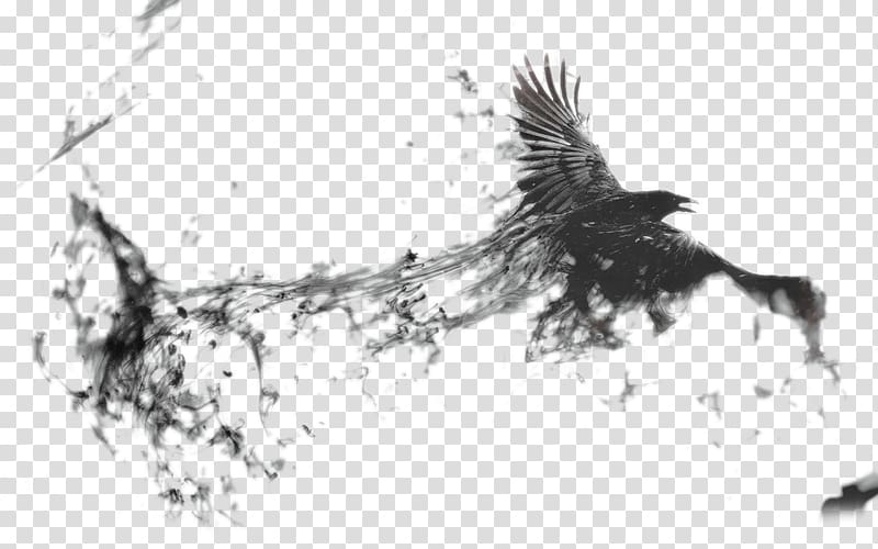 crow flying , Common raven Bird Display resolution 4K resolution , Ink China Plover transparent background PNG clipart