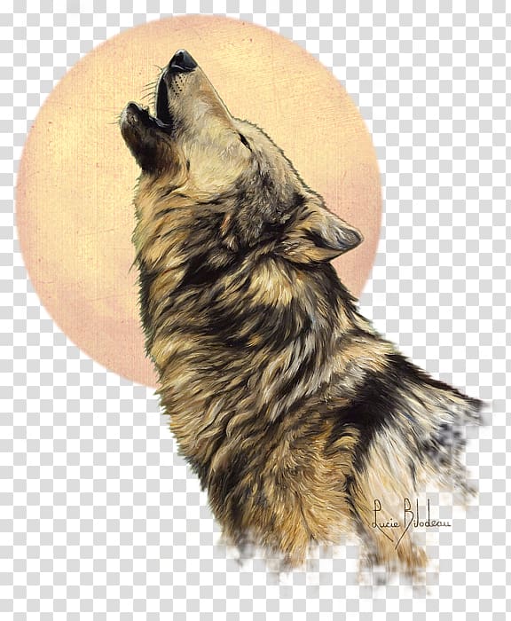 The Call of the Wild United States Painting Drawing Dog, united states transparent background PNG clipart